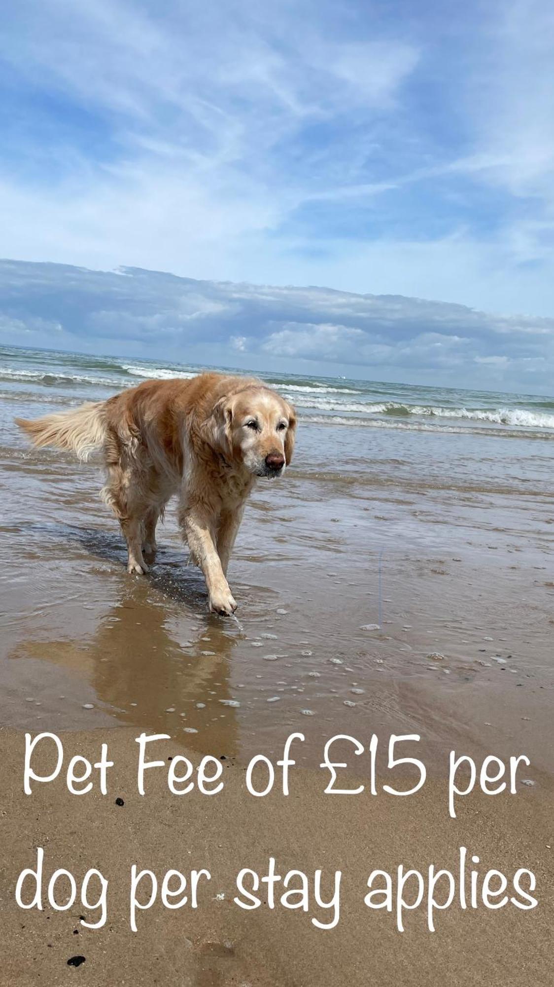 Fab Stay Uk - Coastal And Country Retreat With Free Secure Off Road Parking Minutes From Both Dover And Deal Extérieur photo